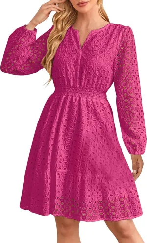Women's 2024 Fall Long Sleeve Solid Mini Dress V Neck Hollow Out Eyelet Embroidery Ruffle A Line Swing Short Dresses